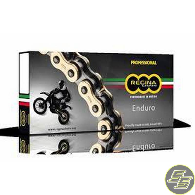 Regina Chain 525 120L ZRing Gold