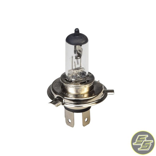 [RIN-R459] Ring Globe 12v 35/35w P43t HS1